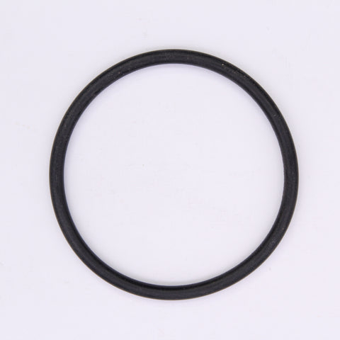 Polaris O-Ring PN 1530606