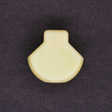 Polaris Button PN 5438123