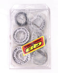 Quad Boss Differential Bearing Kit PN 413017