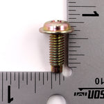 Polaris Flange Screw (Pack of 2) PN 3084766